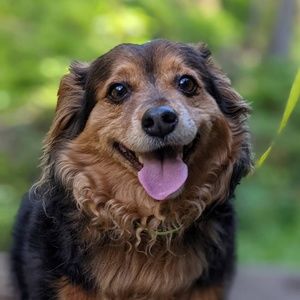 Meet your Posher, Kevin